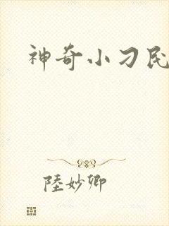 神奇小刁民