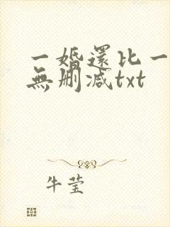 一婚还比一婚高无删减txt