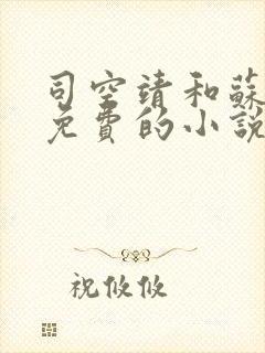 司空靖和苏月汐免费的小说笔趣阁
