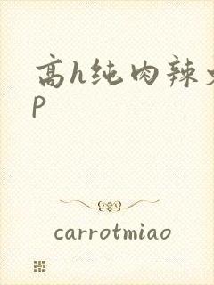 高h纯肉辣文np