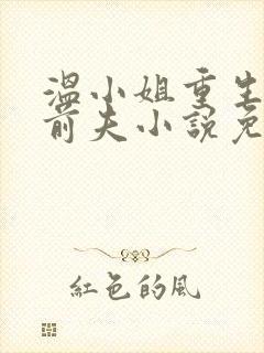 温小姐重生虐疯前夫小说免费阅读