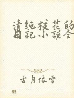 清纯校花的堕落日记小说全文免费阅读