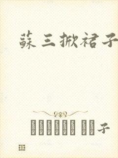 苏三掀裙子封面