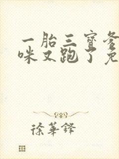 一胎三宝爹地妈咪又跑了免费阅读全文