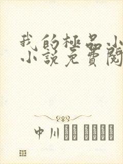 我的极品小姨 小说免费阅读