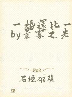 一婚还比一婚高by晨雾之光封面