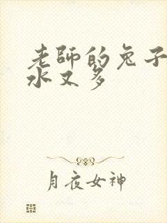 老师的兔子又软水又多