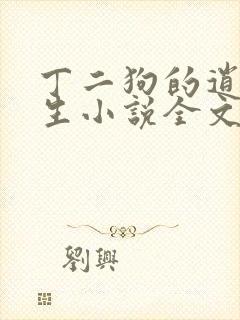 丁二狗的逍遥人生小说全文无删减封面