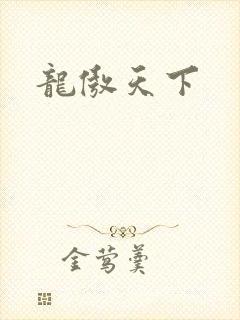 龙傲天下封面