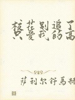 校花别追了,我只爱我的高冷女神封面