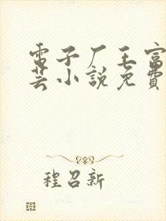 电子厂王富贵陈芸小说免费阅读封面