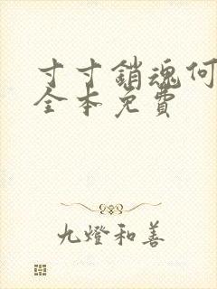 寸寸销魂何生祥全本免费