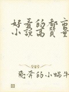 好看的都市言情小说高质量文笔好封面