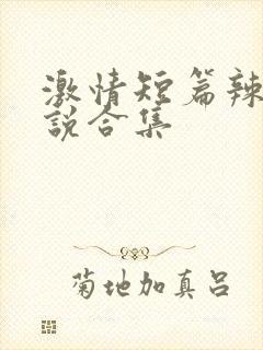 激情短篇辣文小说合集