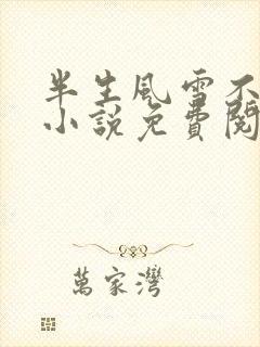 半生风雪不只你小说免费阅读无弹窗