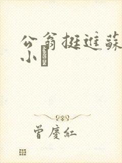 公翁挺进苏玥的小泬封面