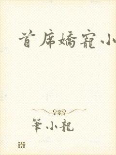 首席娇宠小情人