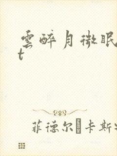 云醉月微眠txt封面