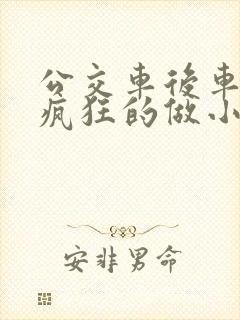 公交车后车座的疯狂的做小