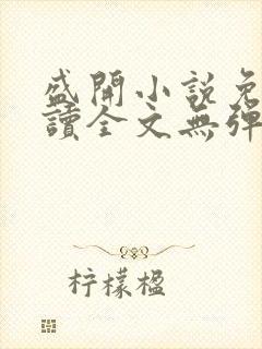 盛开小说免费阅读全文无弹窗封面