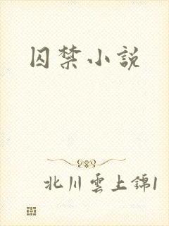 囚禁小说