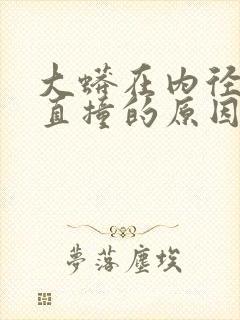 大蟒在内径横冲直撞的原因封面