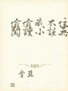 偷偷藏不住免费阅读小说无删减版