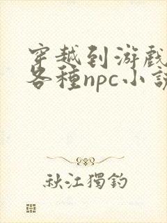 穿越到游戏里和各种npc小说