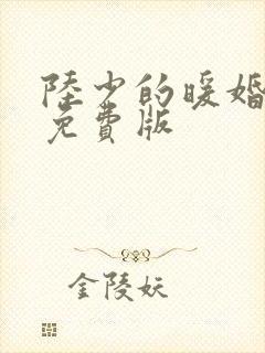 陆少的暖婚新妻免费版封面