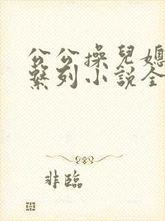 公公操儿媳小说系列小说全文阅读