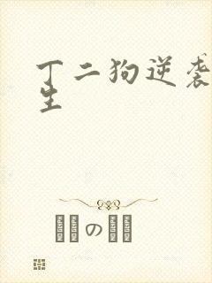 丁二狗逆袭的人生