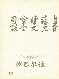司空靖苏月汐小说全文免费阅读封面