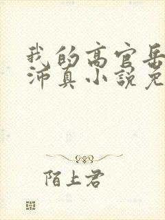 我的高官岳母苏沛真小说免费阅读