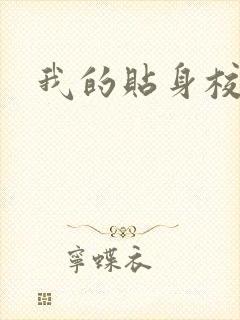 我的贴身校花
