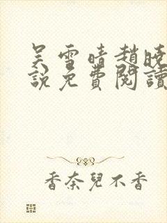吴雪晴赵晓东小说免费阅读