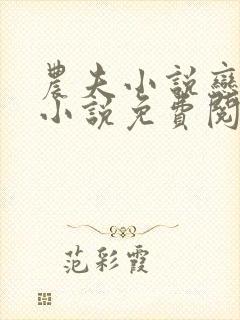 农夫小说恋老妇小说免费阅读封面