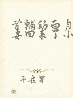 首辅的白月光亡妻回来了小说
