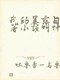 我的暴露日记原著小说叫什么