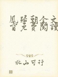 凤归朝全文无弹窗免费阅读封面