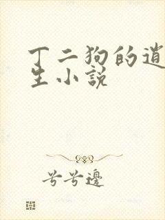 丁二狗的逍遥人生小说