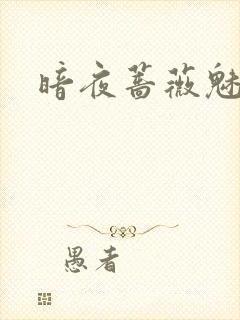 暗夜蔷薇魅