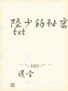 陆少的秘密恋人 txt封面