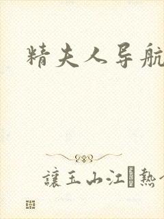 精夫人导航