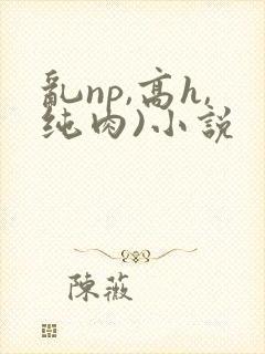 乱np,高h,纯肉)小说