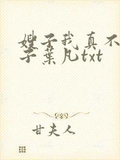 嫂子我真不是傻子叶凡txt