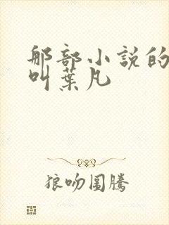 那部小说的主角叫叶凡