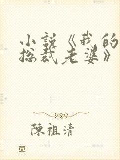 小说《我的冰山总裁老婆》