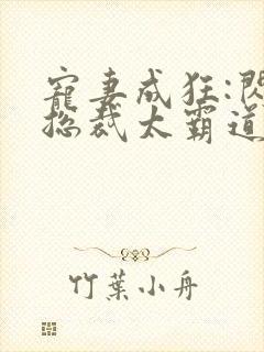 宠妻成狂:闪婚总裁太霸道