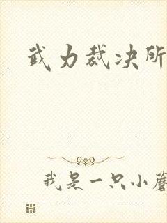 武力裁决所