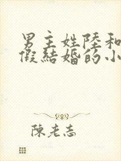 男主姓陆和女主假结婚的小说封面